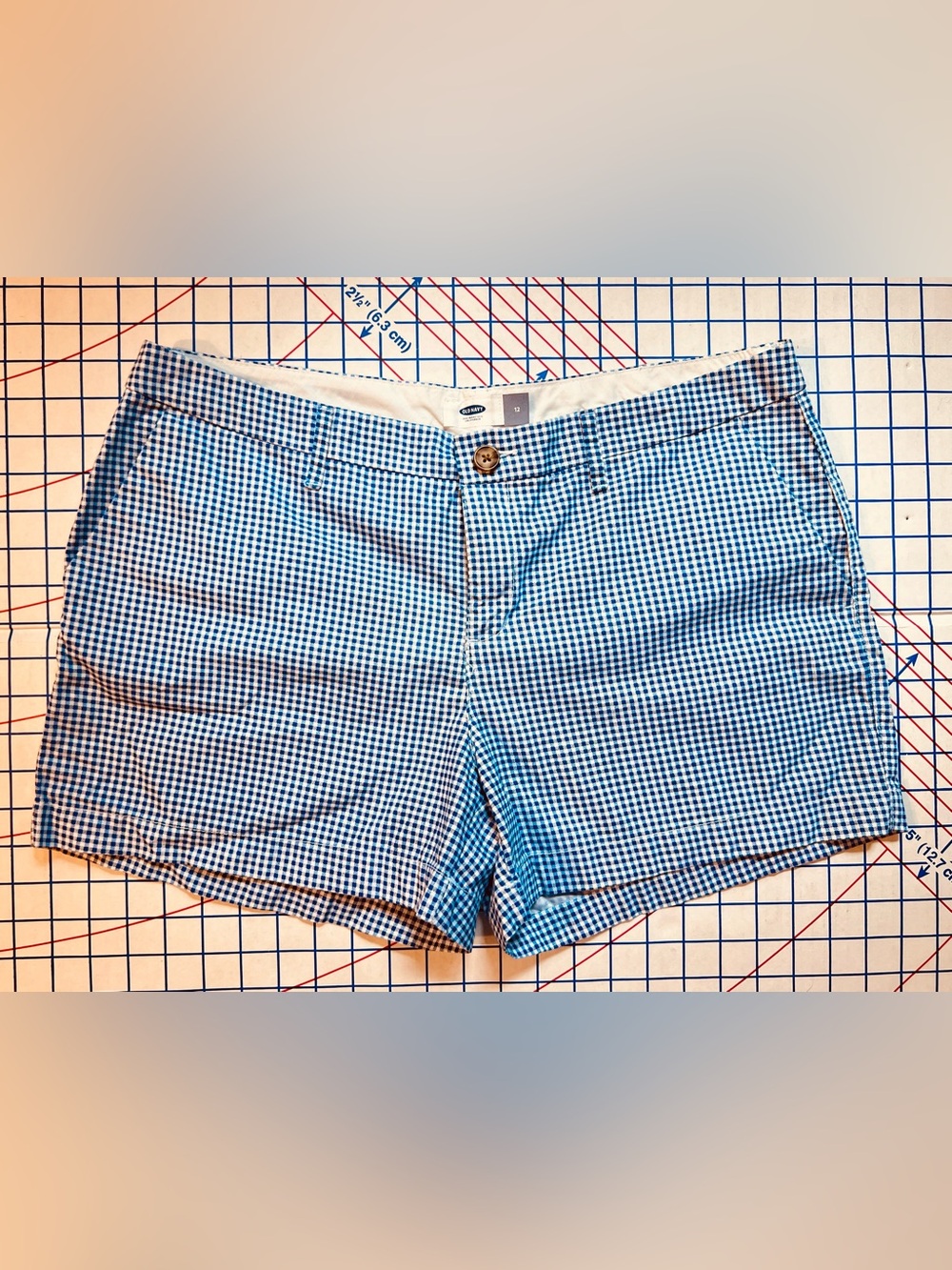 Old Navy Blue and White Gingham Shorts 3” Inseam